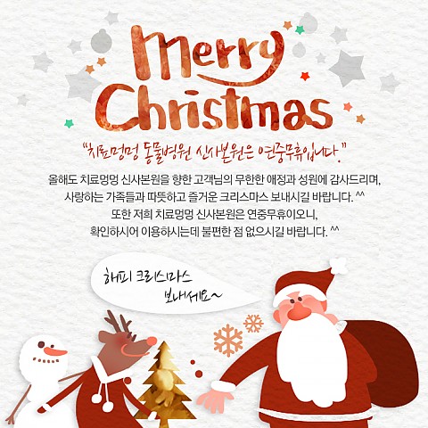 치료멍멍 동물병원 - 크리스마스 운영안내 