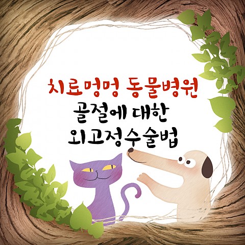 골절에 대한 외고정수술법 