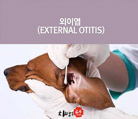 외이염, 그대로 방치하면?? 