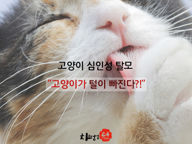 1c6ad2131ce700731e3e0cfc245b9df1_1423817817_7.jpg 1c6ad2131ce700731e3e0cfc245b9df1_1423817