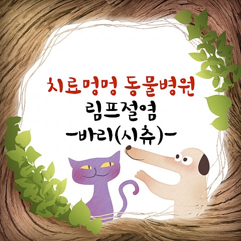 강아지 림프절염 - 바리(시츄) 